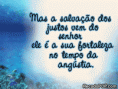 /album/galeria-de-fotos-sobre-nos/a00027-gif/