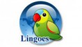 https://www.techtudo.com.br/tudo-sobre/s/lingoes.html
